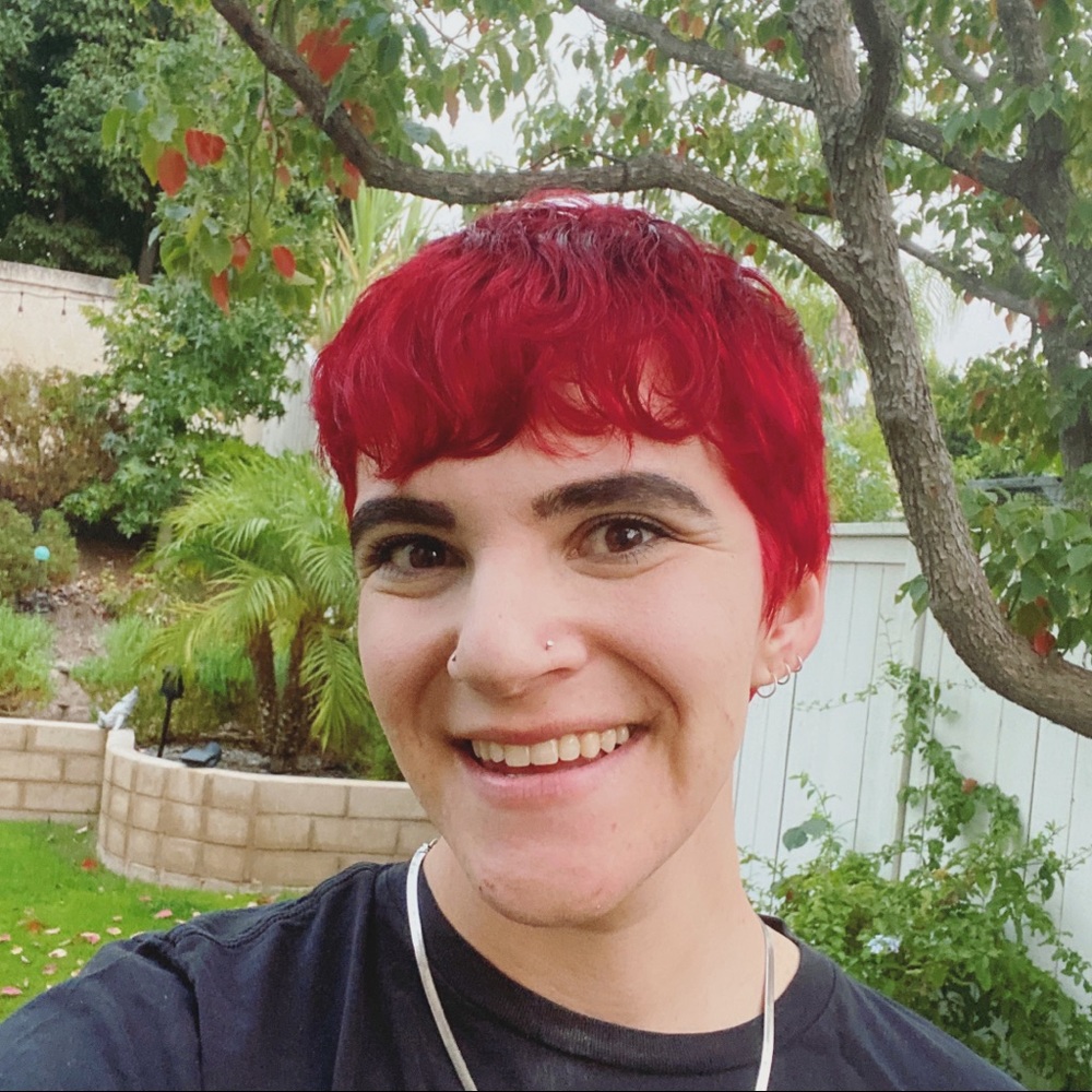 Meet your Posher, Sam